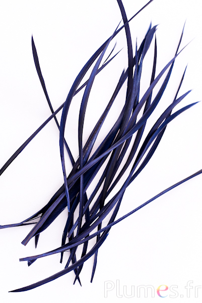 Oie strippé  - 10-17 cm - bleu nuit